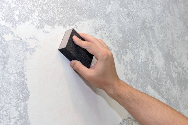 Best Attic Mold Removal  in Marrero, LA