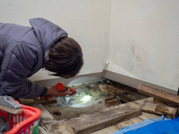 Best Asbestos and Lead Testing During Mold Inspection  in Marrero, LA