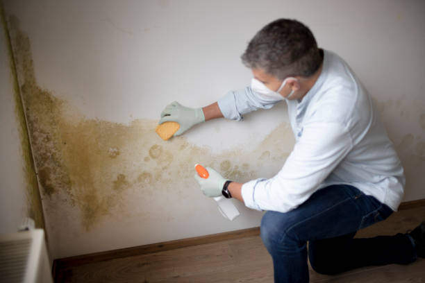 Best Post-Remediation Verification Testing  in Marrero, LA