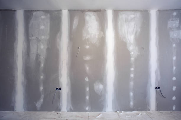 Best Mold-Related Health Consultation  in Marrero, LA